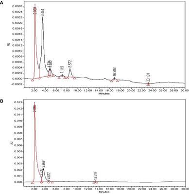 Scaphium affine Ethanol Extract Induces Anoikis by Regulating the EGFR/Akt Pathway in HCT116 Colorectal Cancer Cells